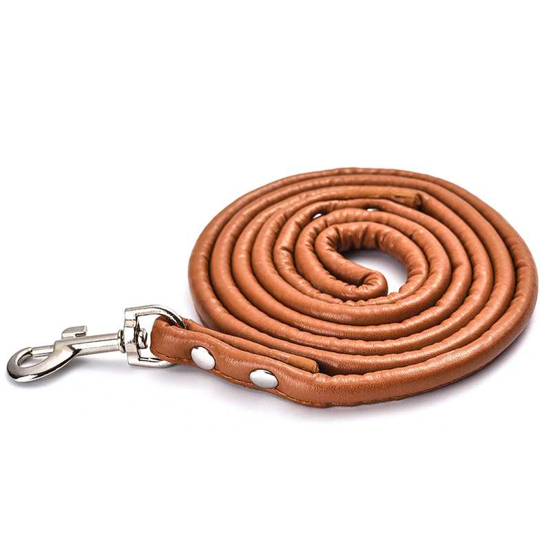 Customized Personalized Vegan Leather Pet Dog Leashes