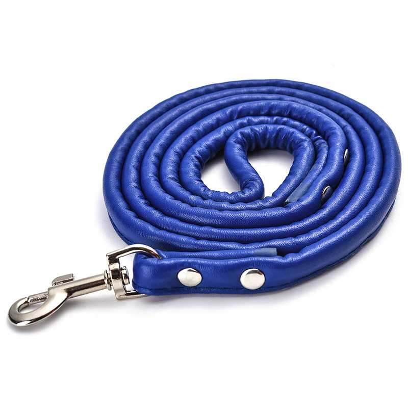 Customized Personalized Vegan Leather Pet Dog Leashes