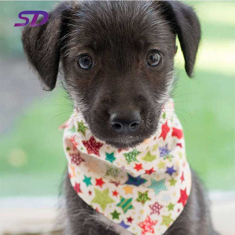 Customized Waterproof Pet Dog Bandana