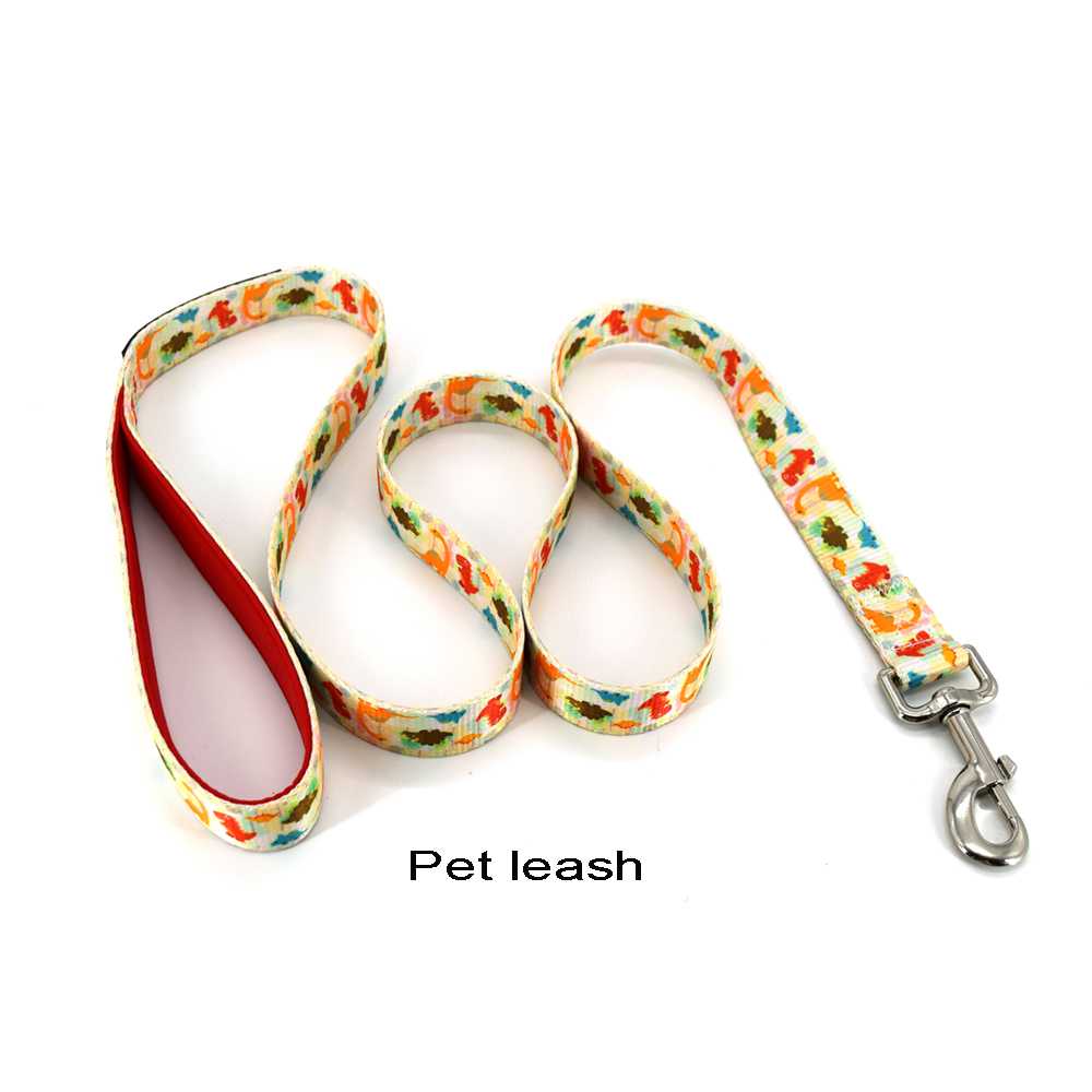 Dinosaur Print Pet Product Retractable Dog Leash Set Custom Dog Collars Leash