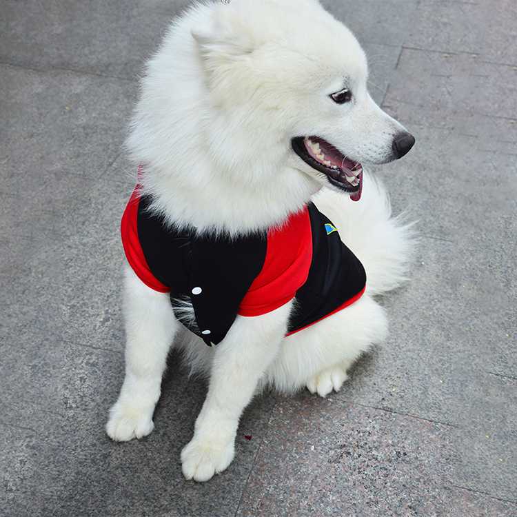 Direct Sales Pet Clothing Autumn Winter Dog Clothes Cat Hooded Sweater Teddy In Stock