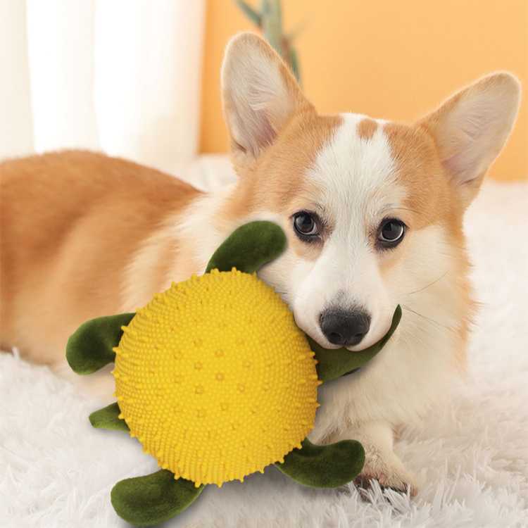 Direct Sales Pet Toys Outdoor Training Play Chew Pet Toys