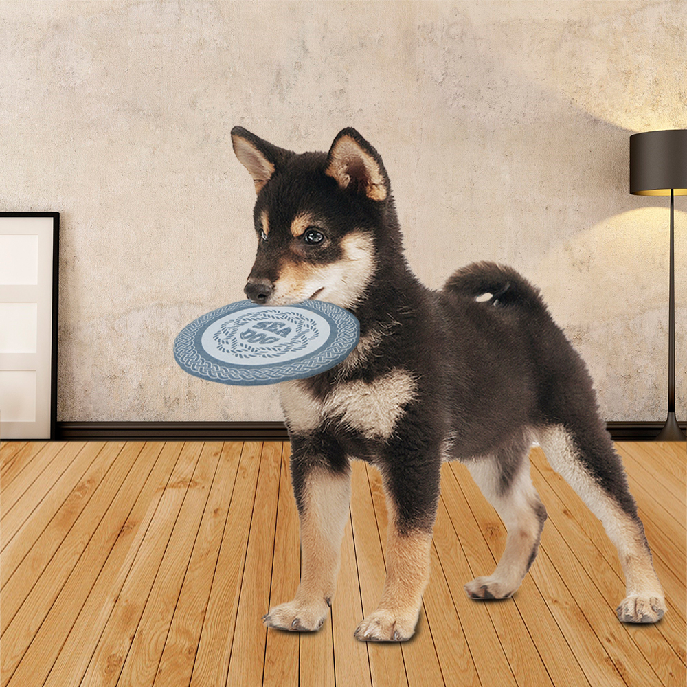 Disk Dog Chew Toy Custom Interactive Plush Pet Toys