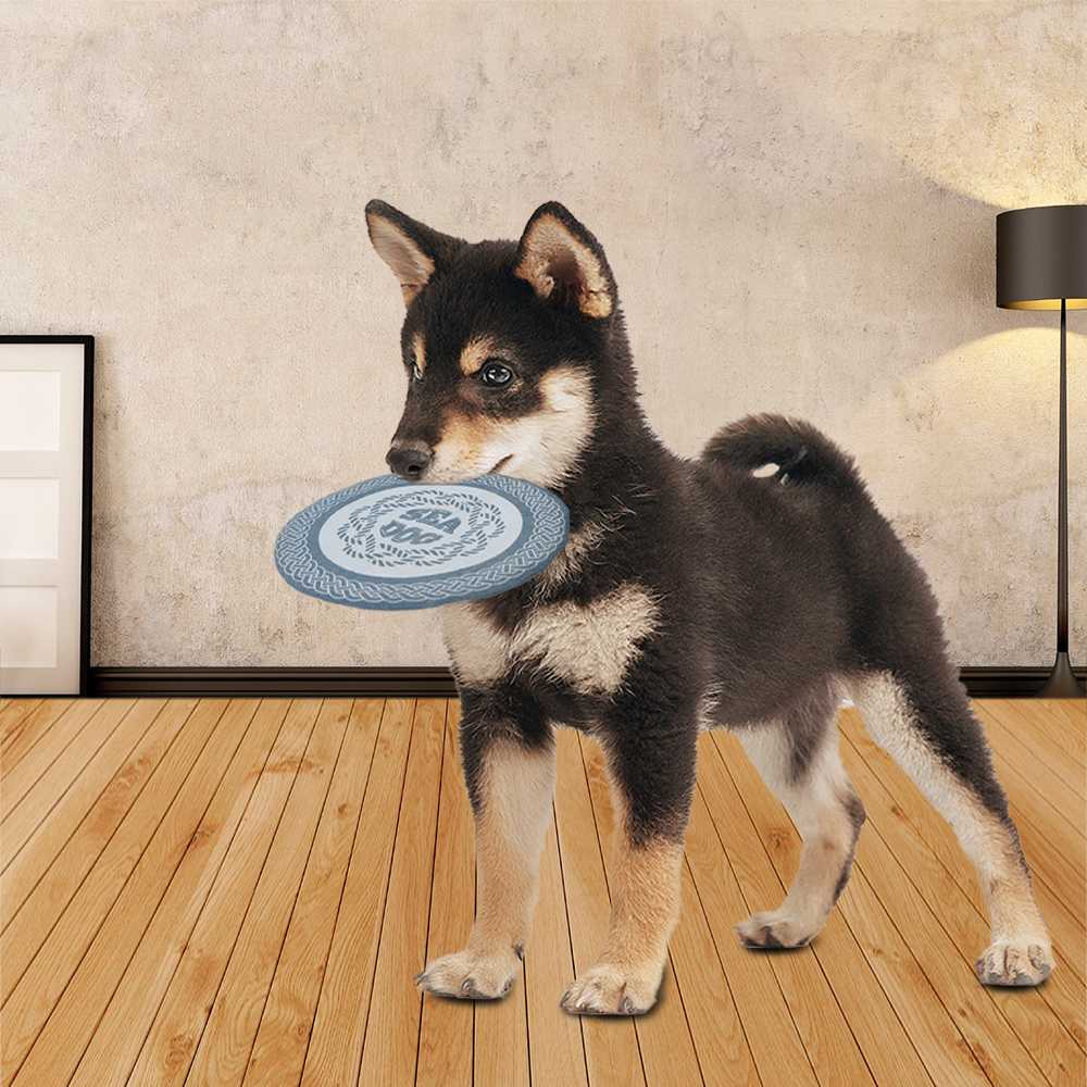 Disk Dog Chew Toy Custom Interactive Plush Pet Toys