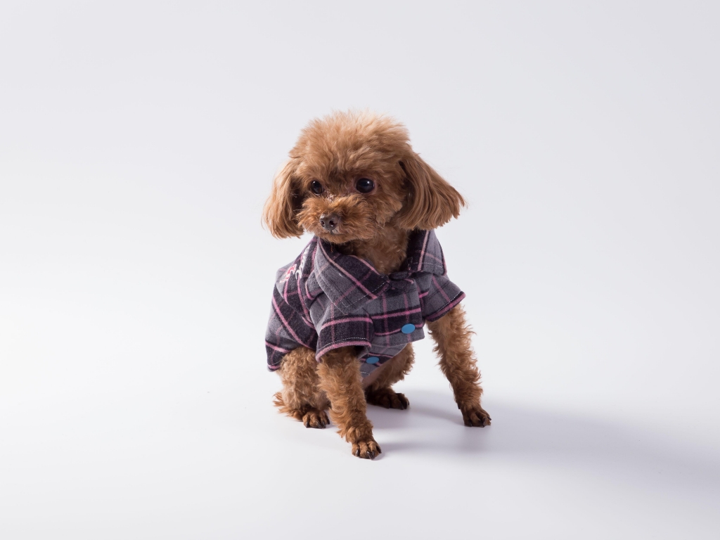 Dog Clothes Pet Apparel Check Wool Shirt Dog Dress With Embroidery AutumnWinter