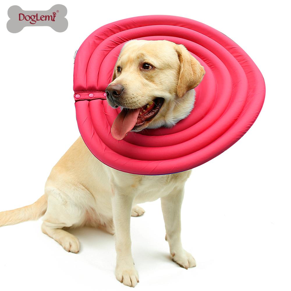 Dog Collar Dog Neck Protect
