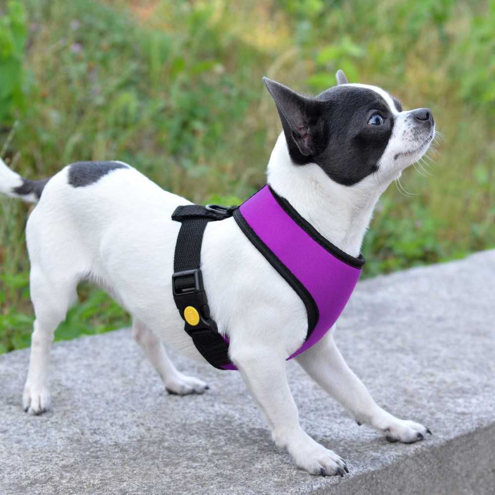 Dog Harness No Pull Pet Neoprene Harness With A Nylon Ribbon Vest Soft Breathable Mesh Padded No Pull Dog Harness