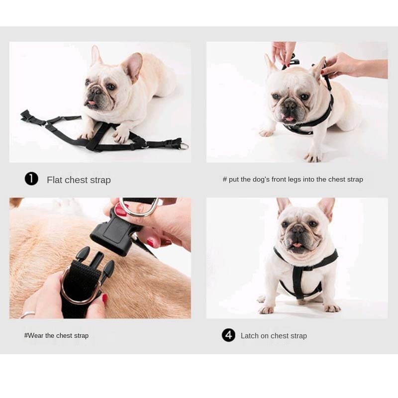 Dog Harness Vest Mesh Custom Cat Pet Vest Dog Collar Leash Harness Set Rear Dog Harness