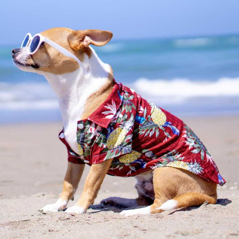 Dog Shirts Clothes Summer Beach Clothes Vest Pet Clothing Floral TShirt Hawaiian Small Large Cat Dog Chihuahua