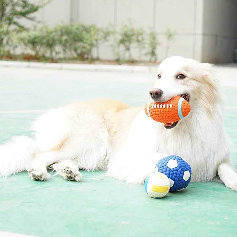 Dog Toy Set Soft Cat Football Volleyball Tennis Rugby Balls Dog Toy Ball Indestructable Dog Chew Toy