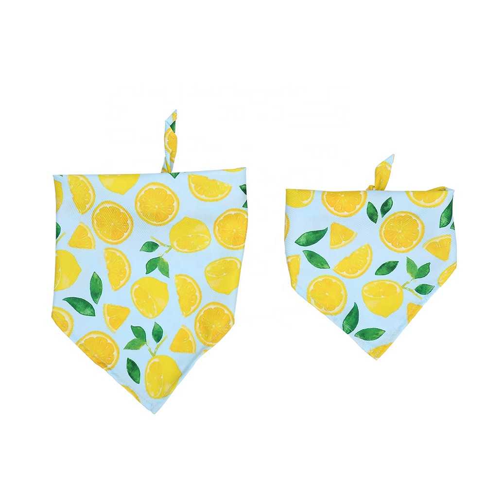 Donut Fruit Pattern Pet Dog Scarf Bibs Triangle Summer Bandana Dog Pet Puppy