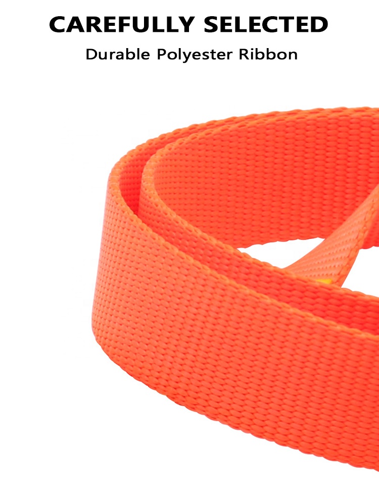 Durable Polyester Rope Comfortable Rope Dog Leash Medium Large Dogs Outdoor Training Leash Collar Set