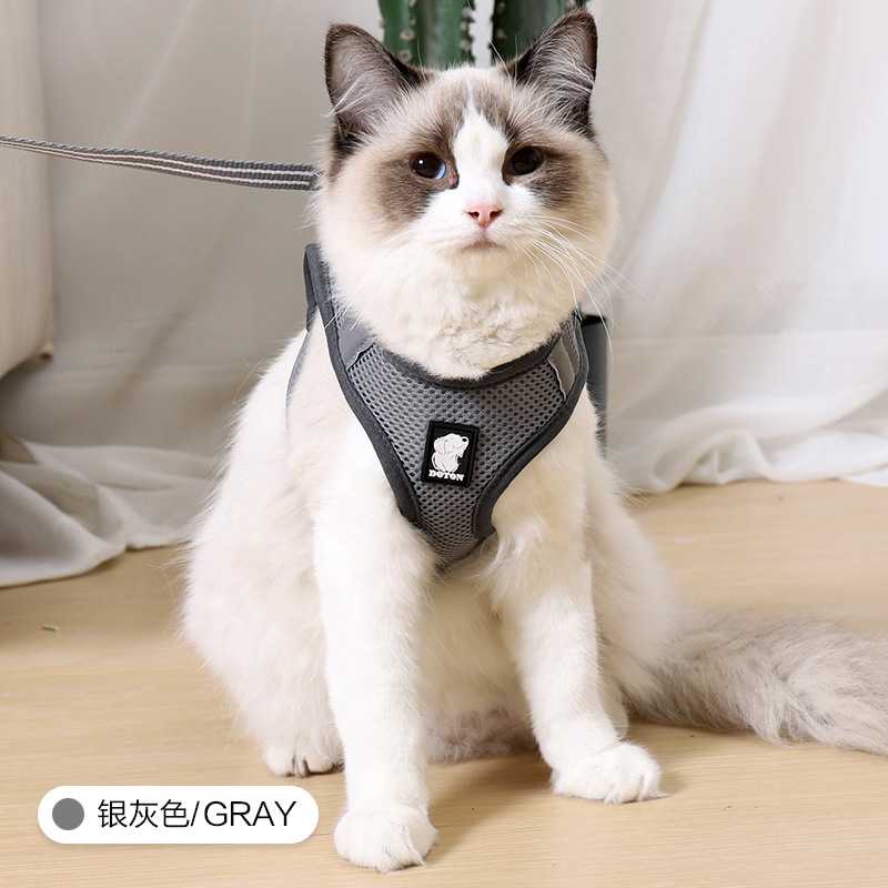 Eco Friendly Custom Reversible Soft Mesh Patterned Cat Vest Collar Pet Harness With Leash