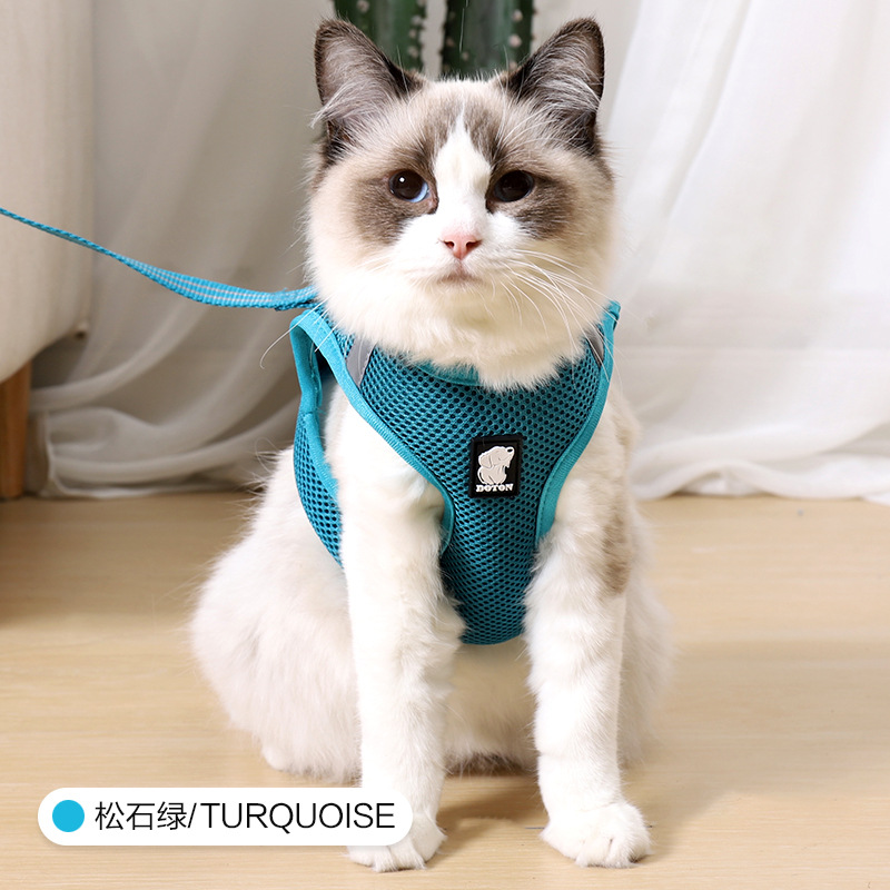 Eco Friendly Custom Reversible Soft Mesh Patterned Cat Vest Collar Pet Harness With Leash