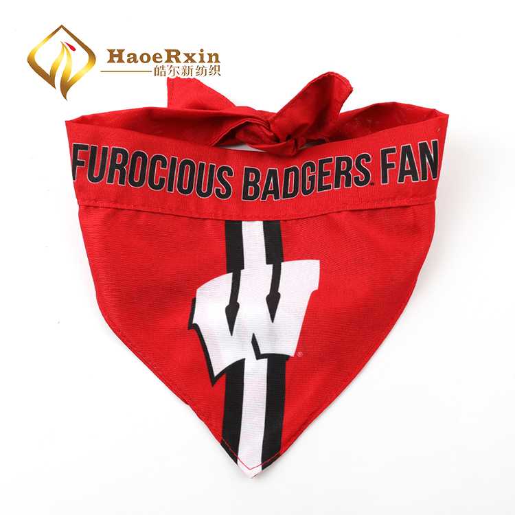 Eco Friendly Double Layer Soft Comfortable Printed Triangle Scarf Dog Bandana Logo