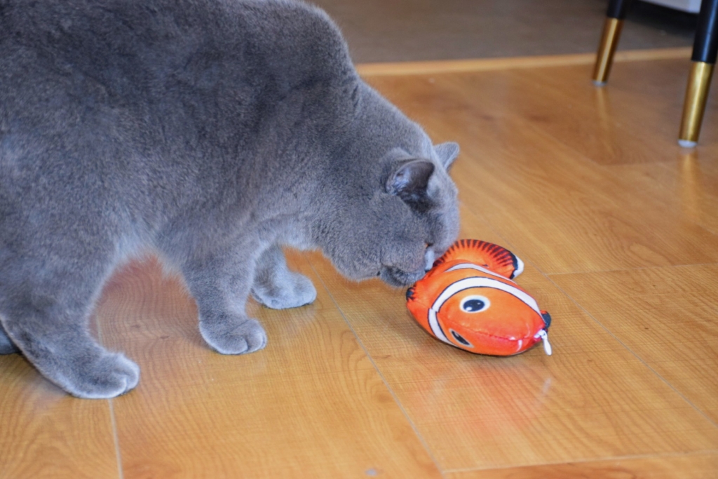 Electric Fish Simulation Fish Funny Cat Beating Fish Funny Cat Pet Toy Usb Charging
