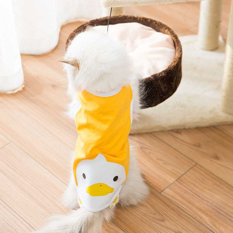 Environmentally Friendly Pet Clothes Striped Cartoon Pet Clothes