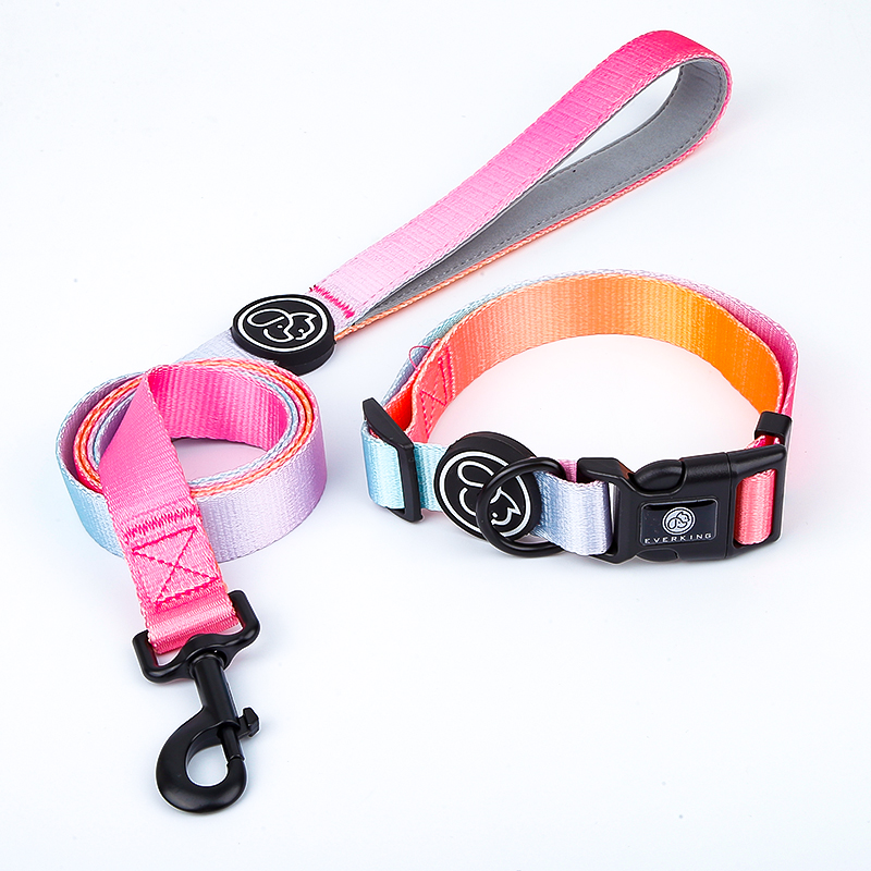 FUNPET Pet Supplies Ins Breathable Mesh Dog Collars Leashes