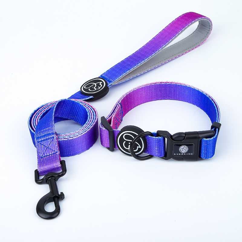 FUNPET Pet Supplies Ins Breathable Mesh Dog Collars Leashes