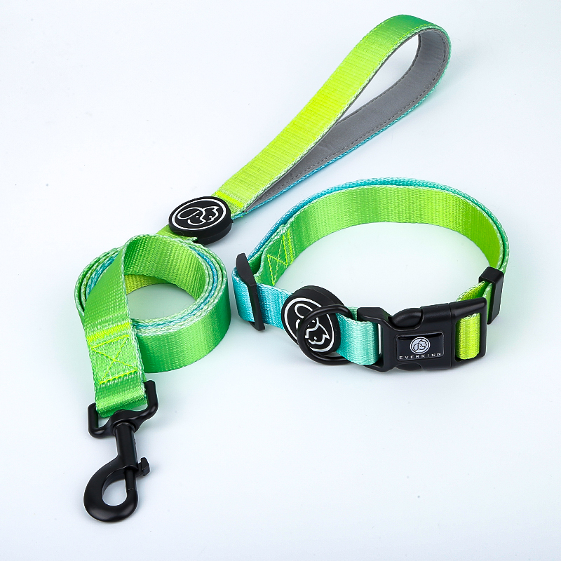 FUNPET Pet Supplies Ins Breathable Mesh Dog Collars Leashes