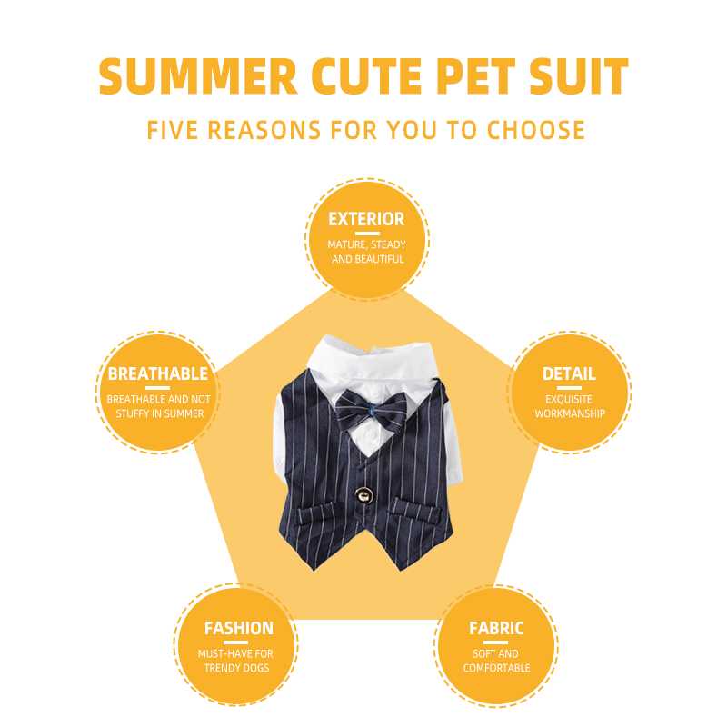 Fashionable Two Feet Pet Winter Clothes Stripe Shirt With Back Pocket