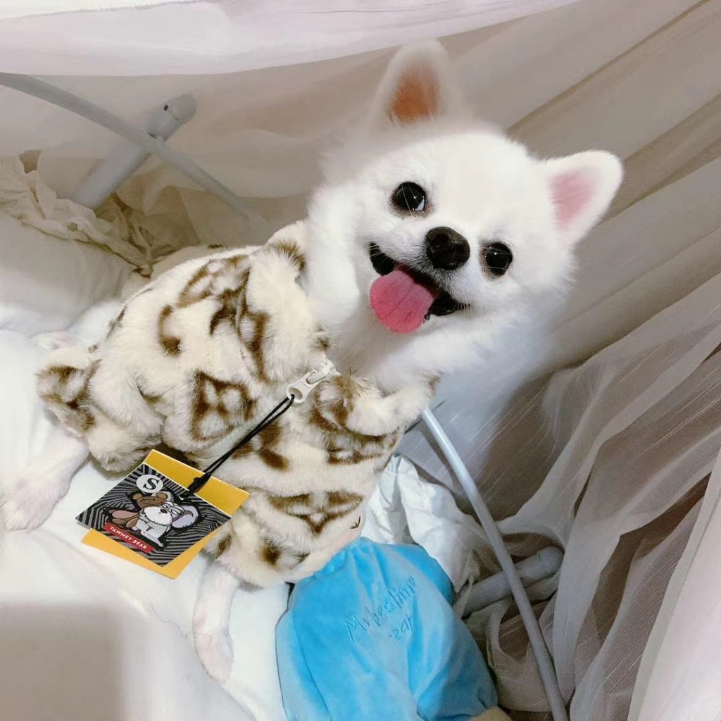 Faux Fur Pet Coat Thick Winter Warm Pet Coat Rich Dog Clothes