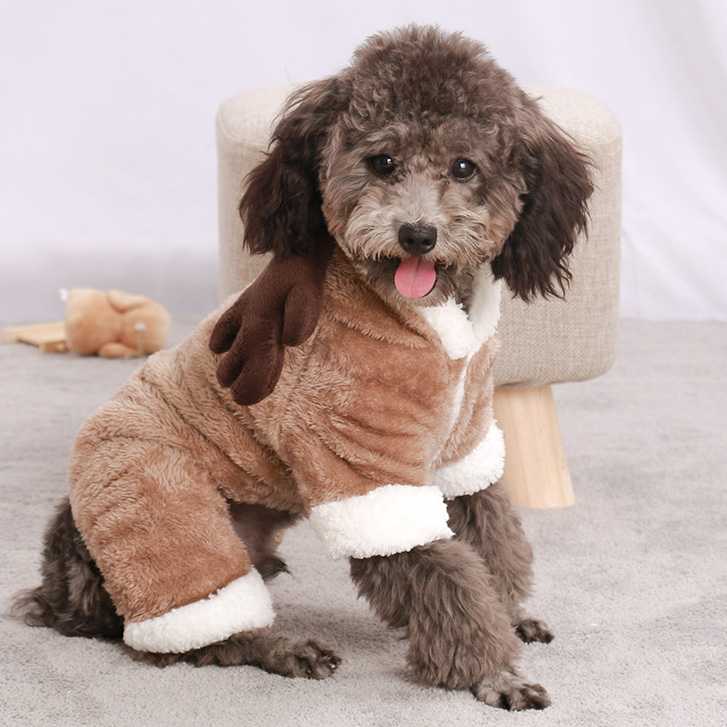 Funny Thickened Winter Pet Clothes Elk Coral Velvet Warm Costume Dog Christmas Clothing