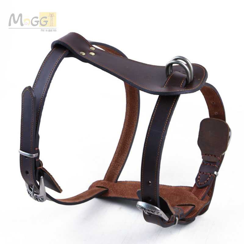 Good Technology Production Leather Pet Training Harness Led Safer Dog Harness