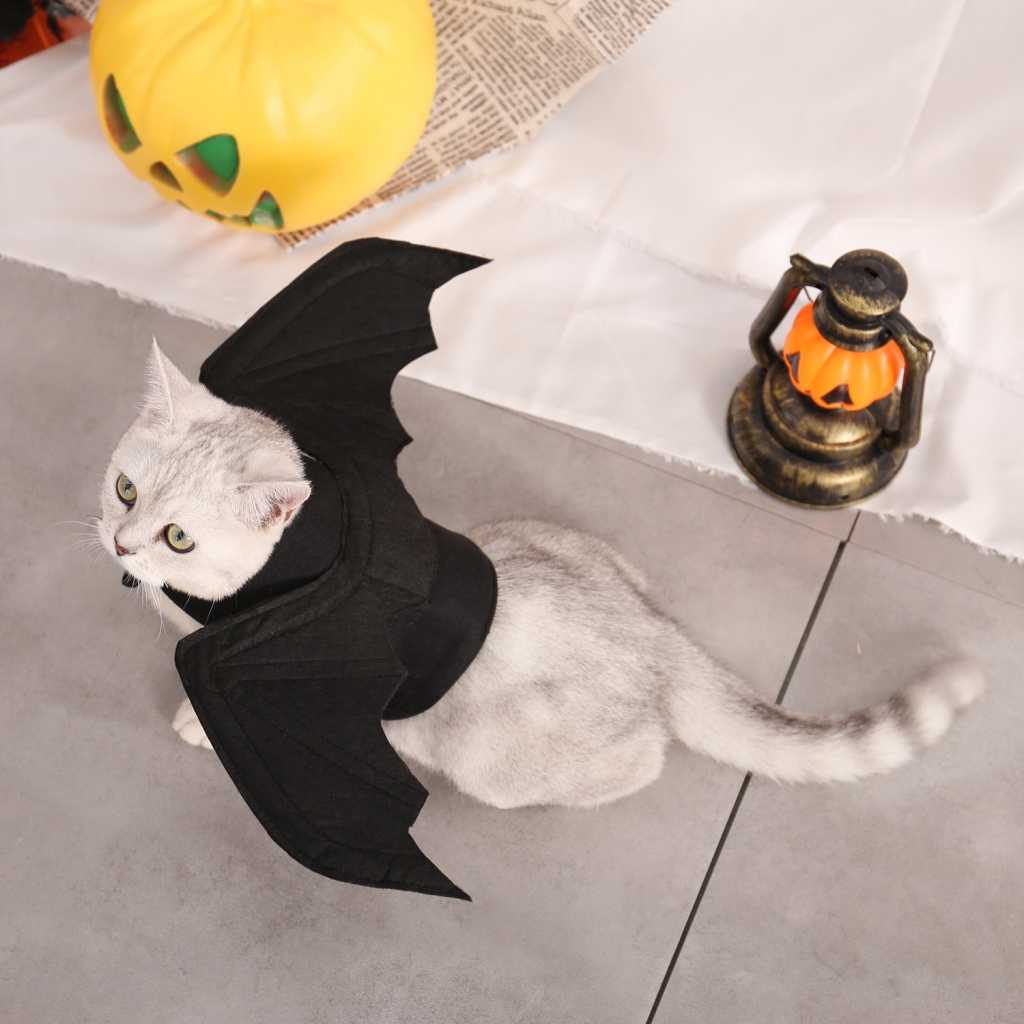 Halloween Bat Pet Clothes Pirate Dog Cat Costume Suit Corsair Dressing Up Party Apparel Clothing Cat Dog Plus Hat By Idepet