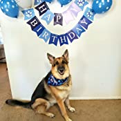 Happy Birthday Supplies Bandana Balloon Hat Party Theme Decoration Boy Pet Dog Bandana Set