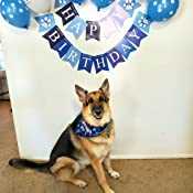 Happy Birthday Supplies Bandana Balloon Hat Party Theme Decoration Boy Pet Dog Bandana Set