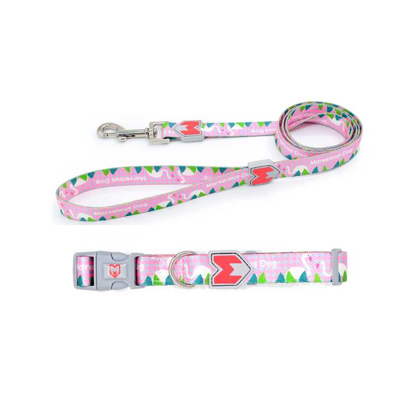 Heat Transfer Print Pet Dog Collar Dog Leash Set With Pattern