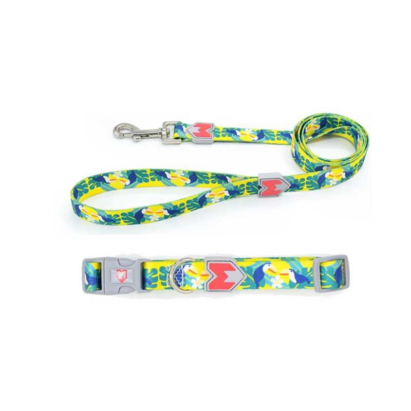 Heat Transfer Print Pet Dog Collar Dog Leash Set With Pattern