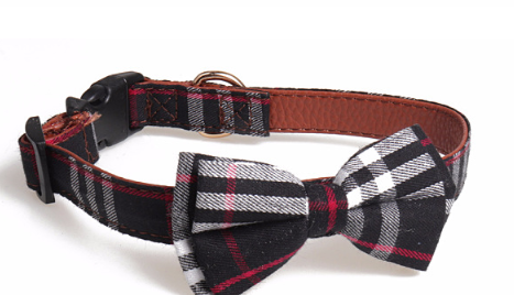 Ing Bowknot Dog Collar Highend Polyester Dog Collar