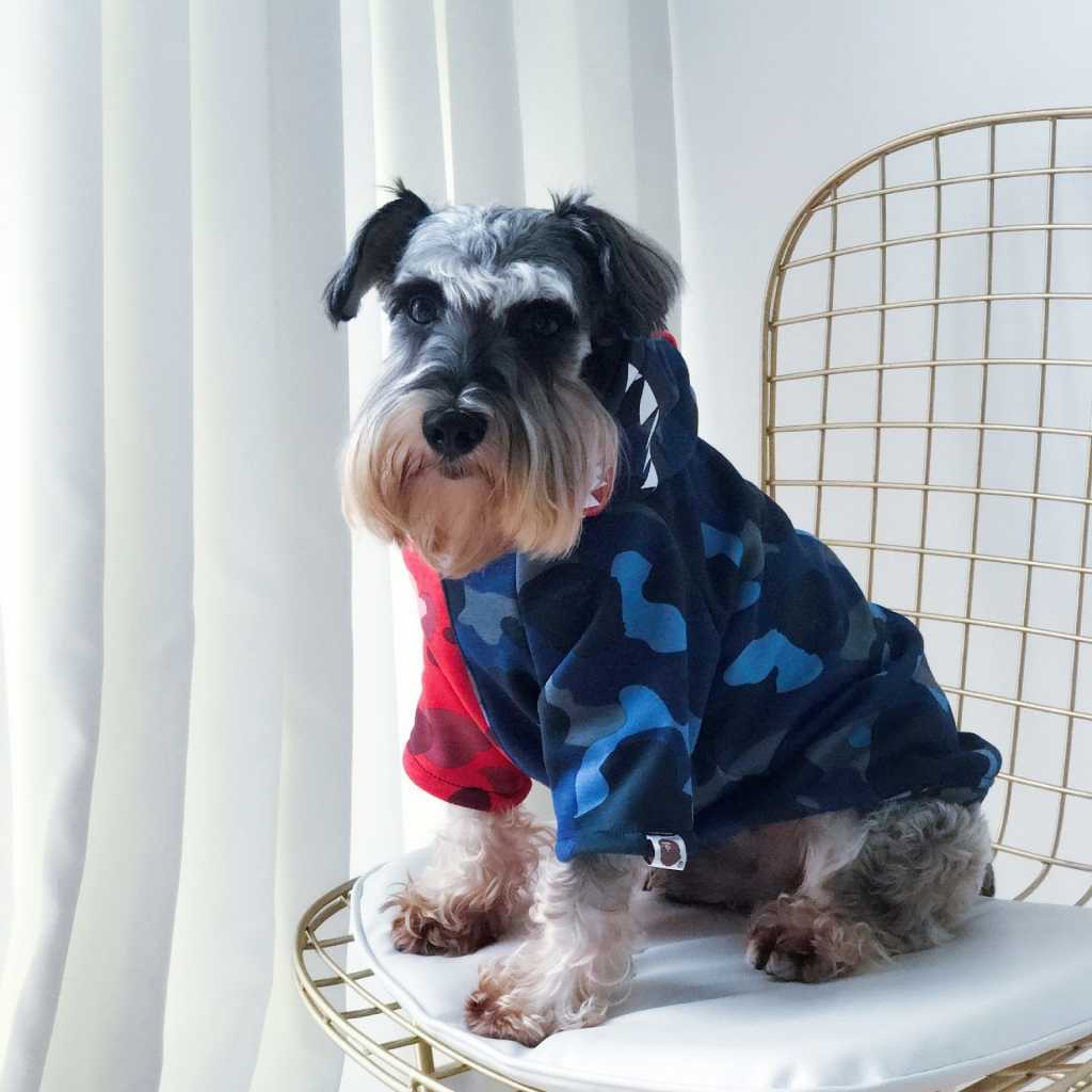 Ing Custom Printing Spring Autumn Pet Dog Cat Cotton Cloth Jacket Coat