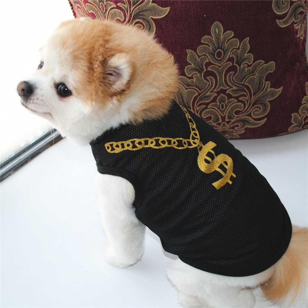 Ing Pet Clothes Money Dollar Sign Rich HipPop Clothes Funny Pet Apparel Accessories