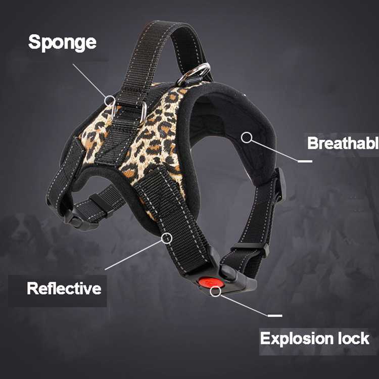 Ing Pet Harness Retractable Dog Harness Leash Comfortable Pet Harness Rope Pet Vest Adjustable