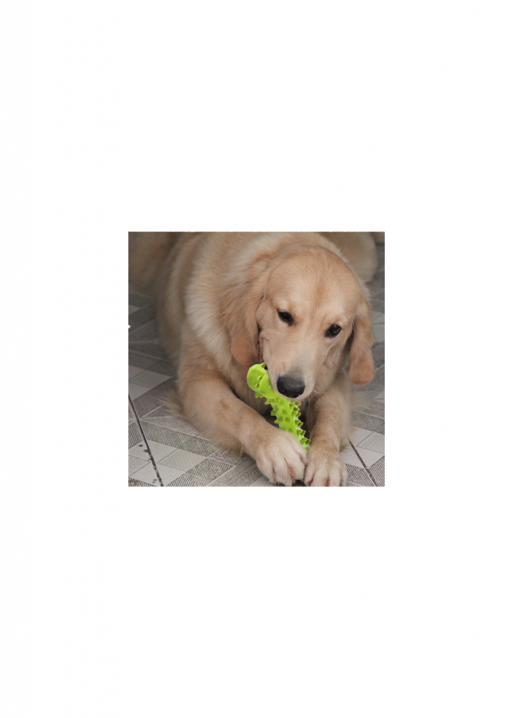 Ing Product Safe Bite Resistant Rubber Material Sounding Ball Pet Toy