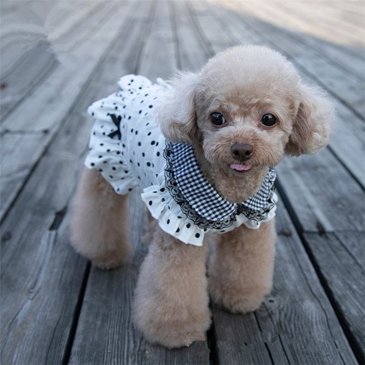 Ing Pure Cotton Spring Summer Cute Polka Dot Teddy Dog Dress