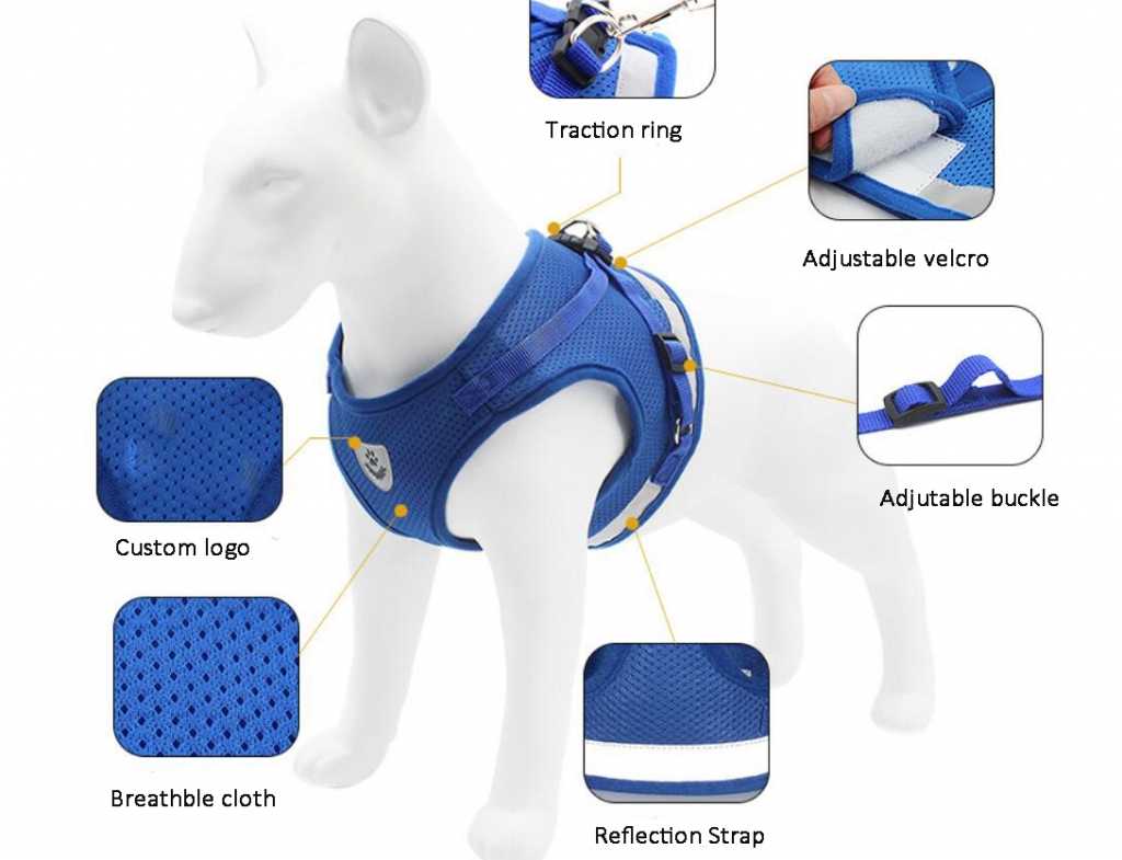 Ing Reflective Cat Kitten Harness Leash Set Walking Outdoor