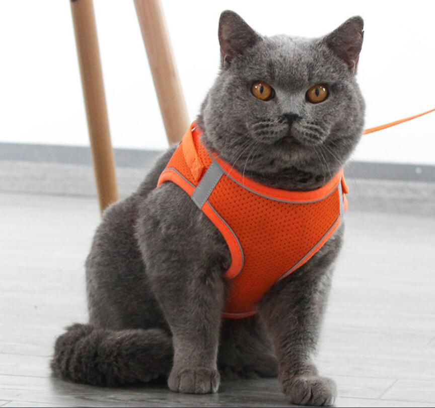 Ing Reflective Cat Kitten Harness Leash Set Walking Outdoor
