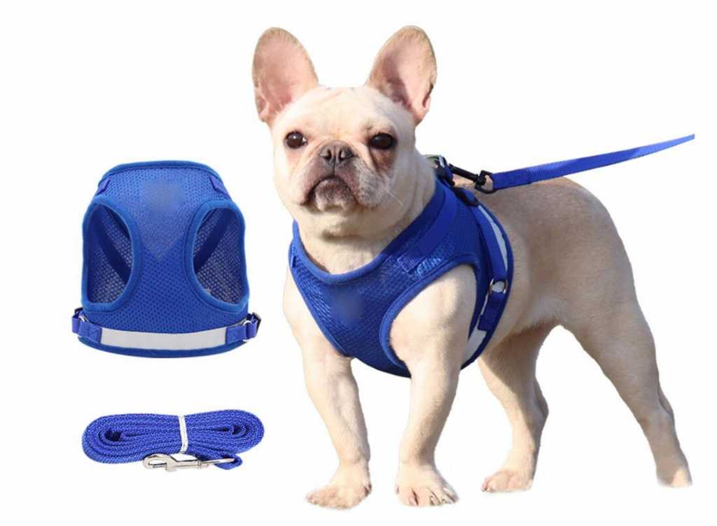 Ing Reflective Cat Kitten Harness Leash Set Walking Outdoor