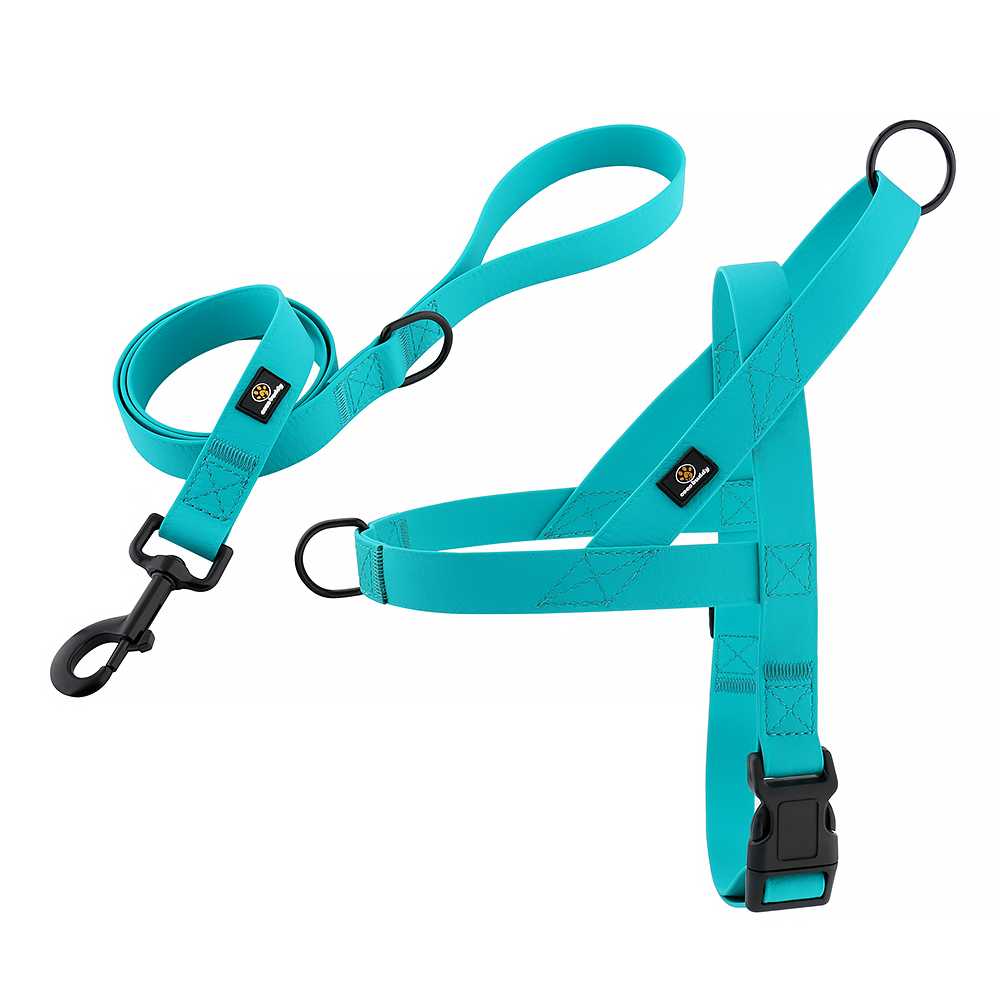 Ing Waterproof Soft PVC Coated Quick Fit Dog Harness Manufacturer Walking Training