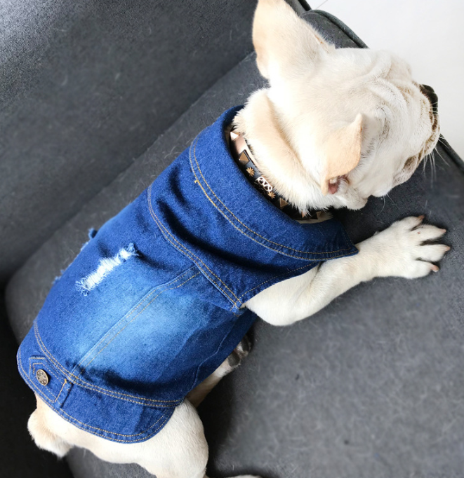 Jacket Cool Blue Denim Coat Small Medium Dogs Lapel Vests Hoodies Puppy Vintage Washed Clothes Pet Clothes Dog Jeans