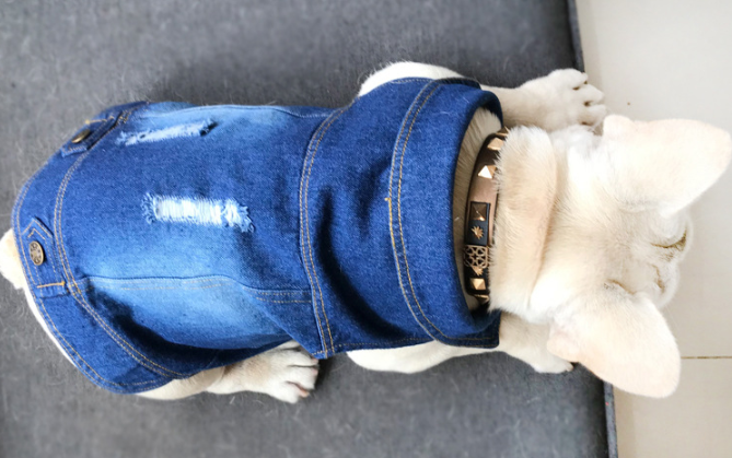 Jacket Cool Blue Denim Coat Small Medium Dogs Lapel Vests Hoodies Puppy Vintage Washed Clothes Pet Clothes Dog Jeans