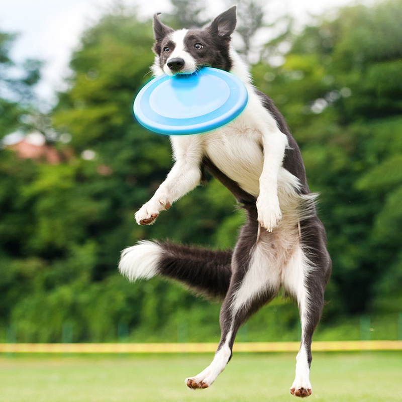 Kimpets Big Flying Dish Dog Training Tools Pet Interactive Flying Disc