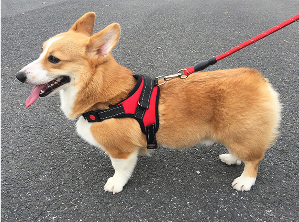 Kingtale No Pull Outdoor Control Handle Reflective Safety Pet Vest Adjustable Dog Harness