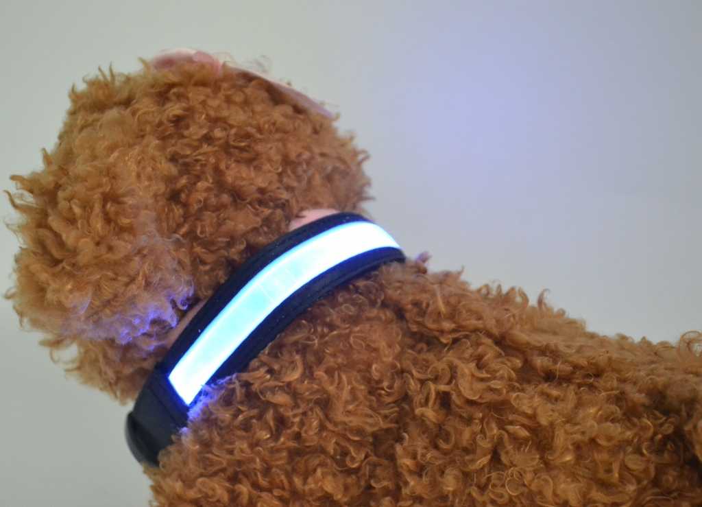 LED Dog CollarNight Pet Collar Dog USB Rechargeable Waterproof Durable Glowing Dog Collar