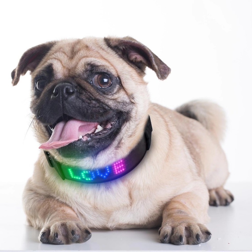 LED Pet Programmable Safety Dog Collar Rechargeable App Controlled Scrolling Message Pet Collar