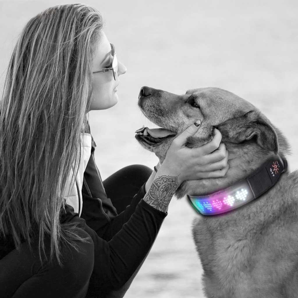 LED Pet Programmable Safety Dog Collar Rechargeable App Controlled Scrolling Message Pet Collar